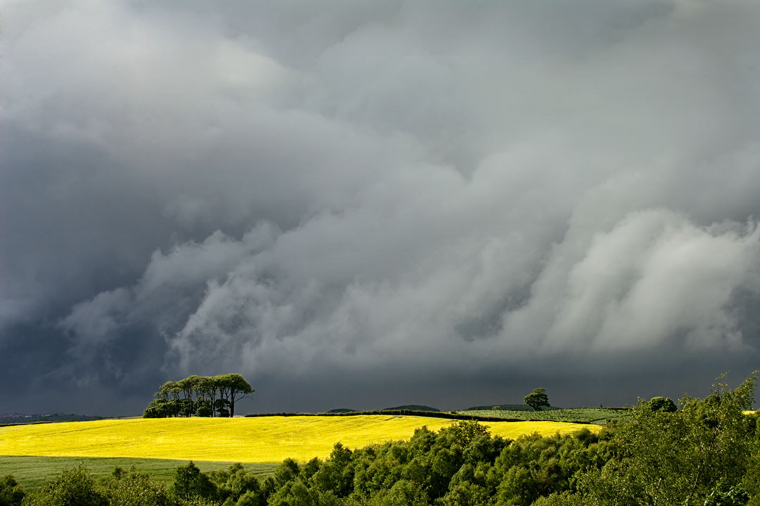 Coming Storm, Waldridge, Durham