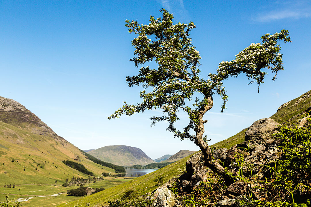 Buttermere, Lake District, Cumbria