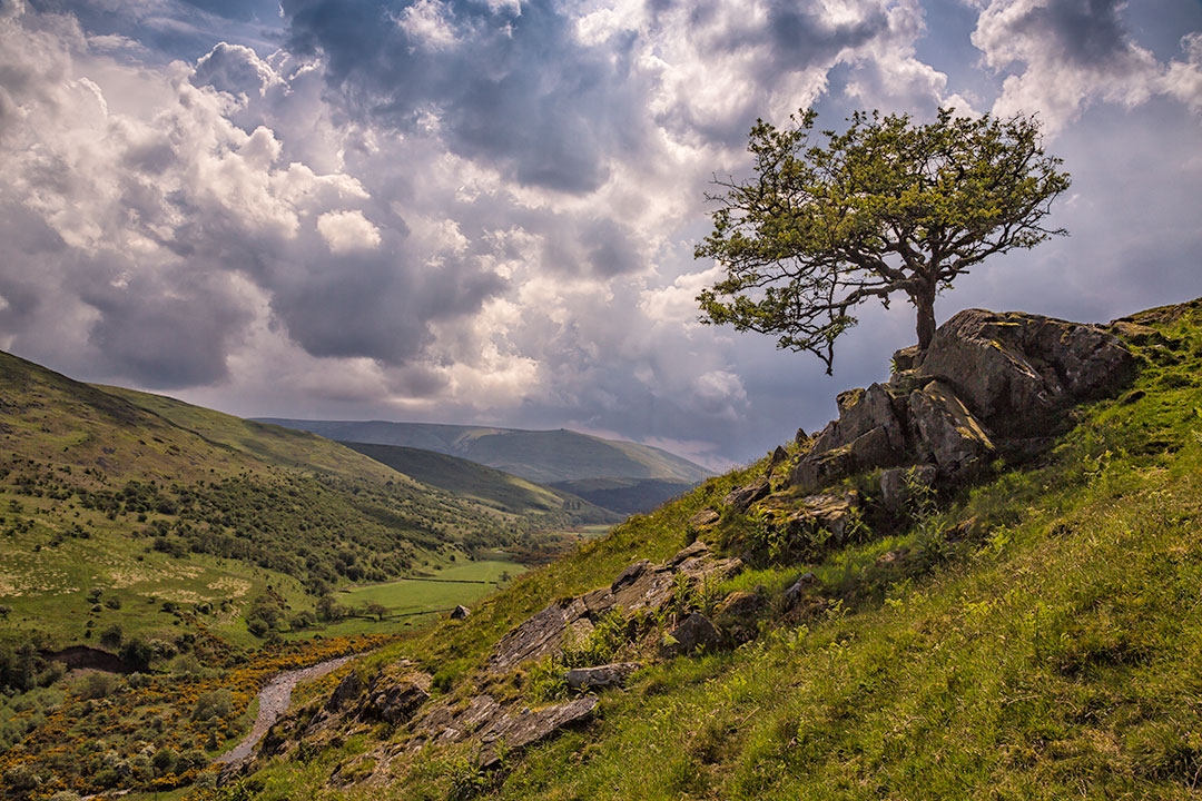 College Valley, Northumberland National Park