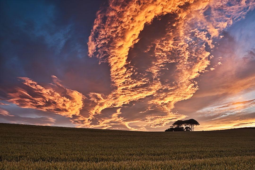 Sunset at the Copse, Durham