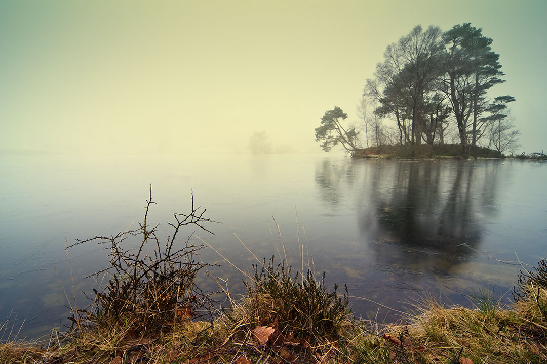 Tarn Hows, Lake District, Cumbria