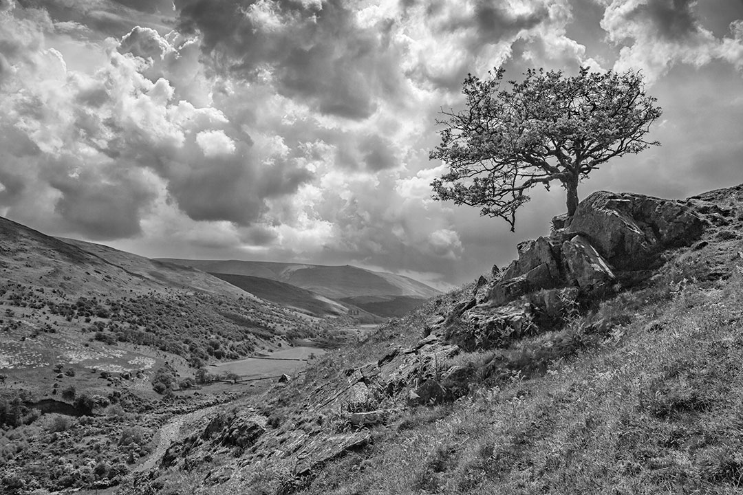 College Valley, Northumberland National Park