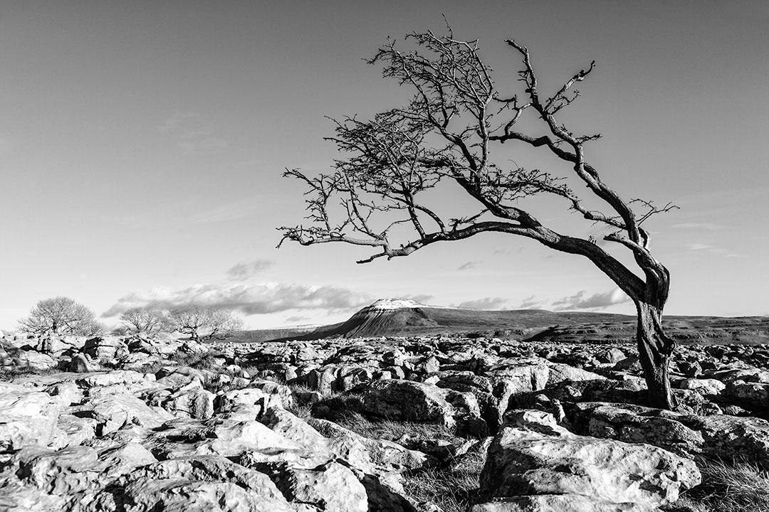 Ingleborough,  North Yorkshire Dales