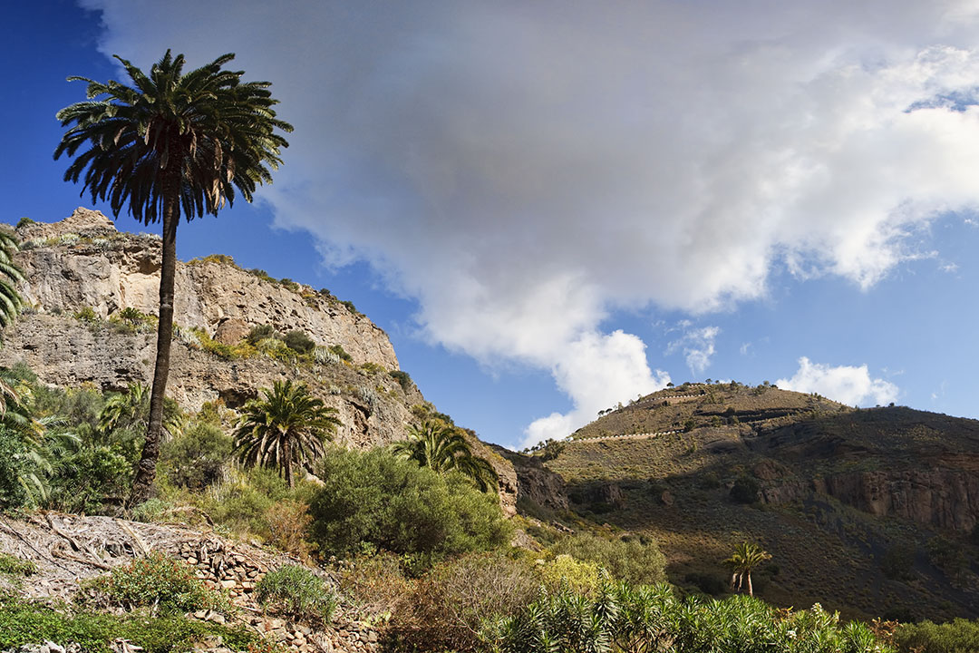 Bandama Crater, Grand Canaria